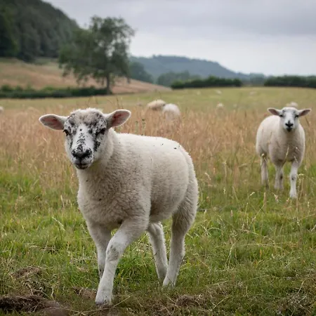 Experience The Peace & Quiet In The North York Moors At Rawcliffe House Farm *