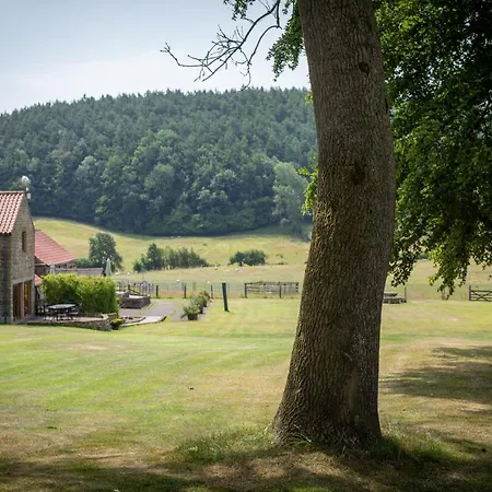 Experience The Peace & Quiet In The North York Moors At Rawcliffe House Farm Holiday home *