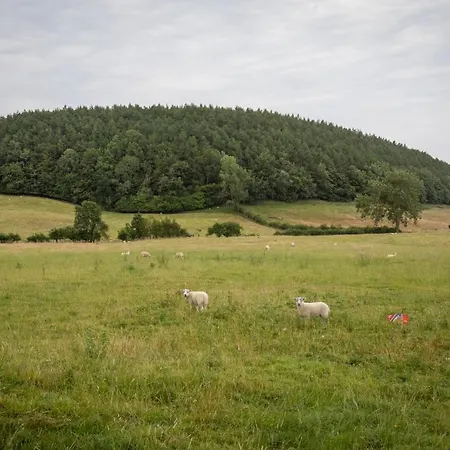 Experience The Peace & Quiet In The North York Moors At Rawcliffe House Farm Holiday home *