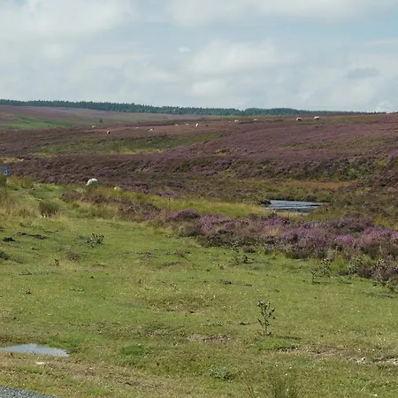 Experience The Peace & Quiet In The North York Moors At Rawcliffe House Farm