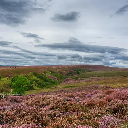 Experience The Peace & Quiet In The North York Moors At Rawcliffe House Farm 펜션