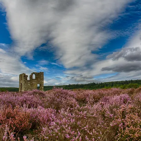펜션 Experience The Peace & Quiet In The North York Moors At Rawcliffe House Farm *