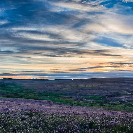 펜션 Experience The Peace & Quiet In The North York Moors At Rawcliffe House Farm *