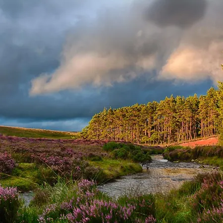 Experience The Peace & Quiet In The North York Moors At Rawcliffe House Farm