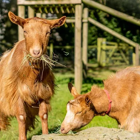 Experience The Peace & Quiet In The North York Moors At Rawcliffe House Farm